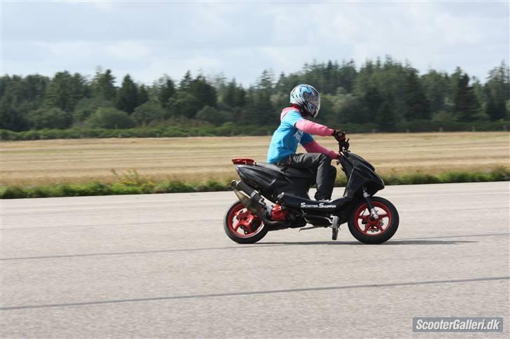 DHS 09 billeder af Team nosser og Team dumme svin :P billede 44