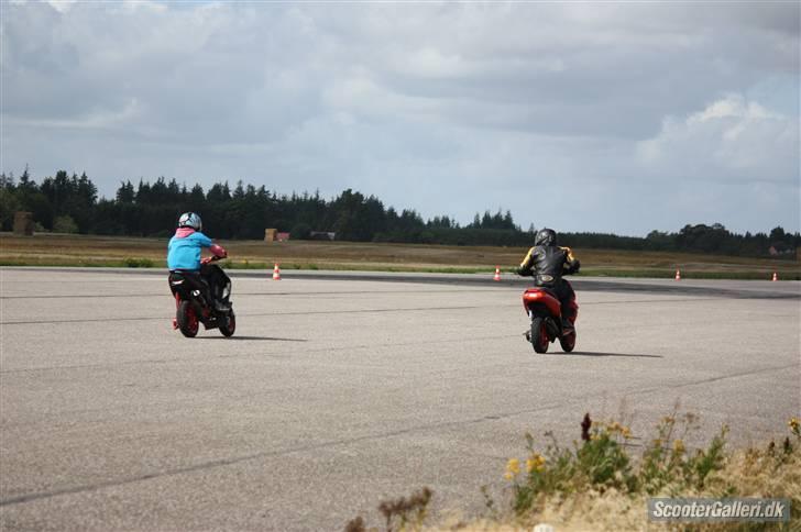 DHS 09 billeder af Team nosser og Team dumme svin :P billede 45