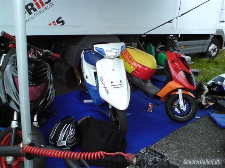 DHS 09 billeder af Team nosser og Team dumme svin :P billede 56