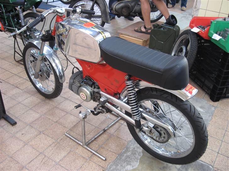 Norden Kreidler træf i tyskland billede 53