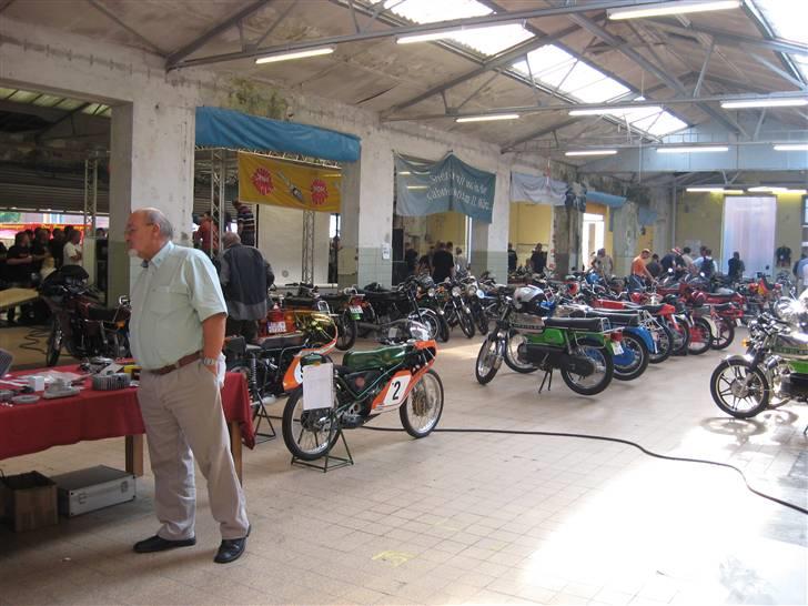 Norden Kreidler træf i tyskland billede 51