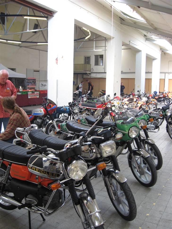 Norden Kreidler træf i tyskland billede 50