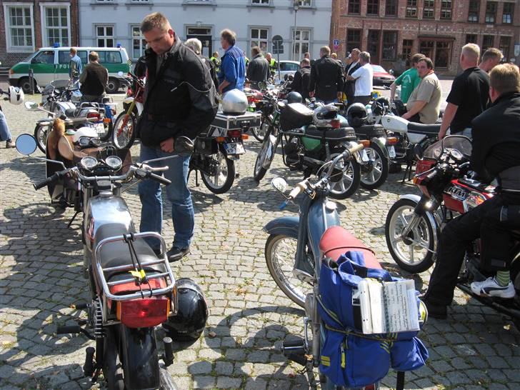 Norden Kreidler træf i tyskland billede 35