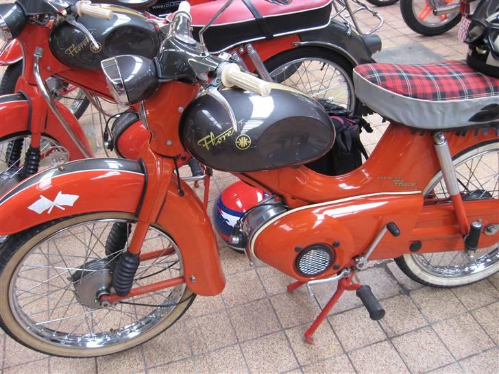 Norden Kreidler træf i tyskland billede 33