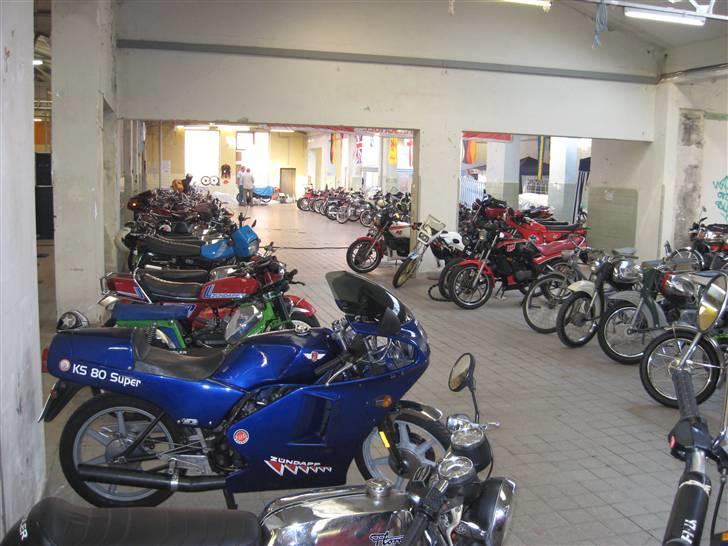 Norden Kreidler træf i tyskland billede 20