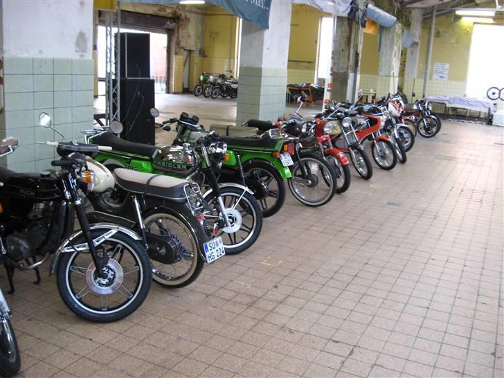 Norden Kreidler træf i tyskland billede 9