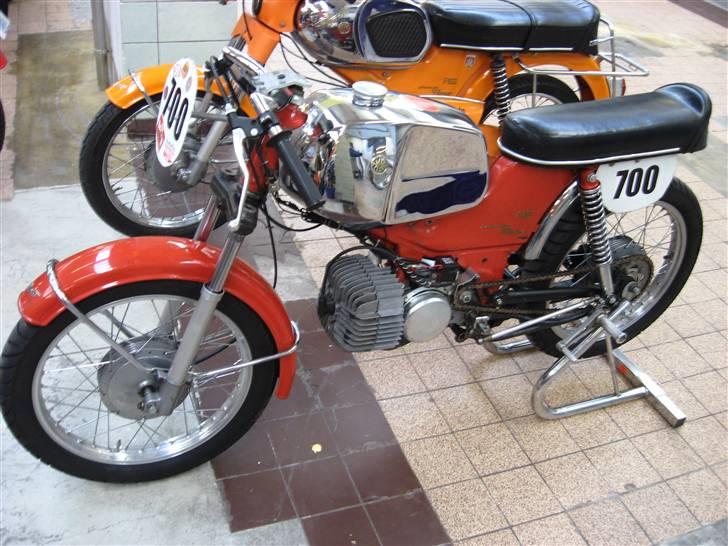 Norden Kreidler træf i tyskland billede 8