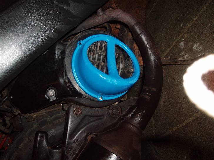 Problemer med grisetryne.  billede 1