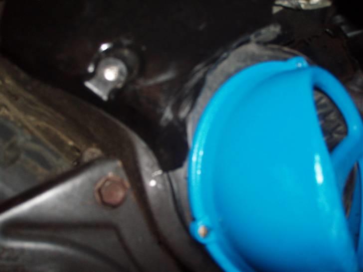 Problemer med grisetryne.  billede 3