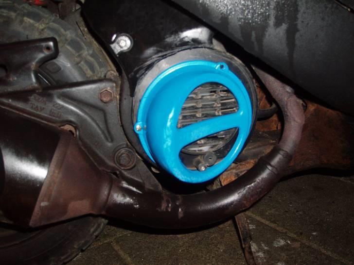 Problemer med grisetryne.  billede 4