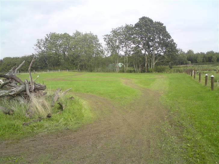 Min Bane/Atv'en  - Det lige stykke :P billede 5