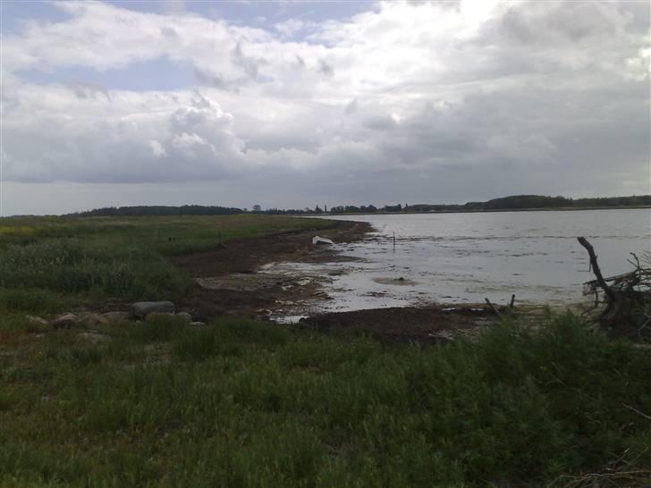 Mit fede lille speedbåd projekt:) billede 20