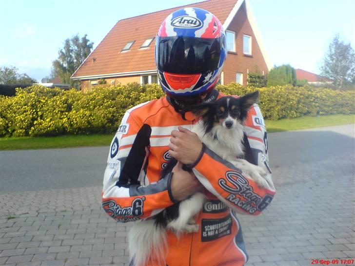 Fremvisning af ny dragt + Sjov :) billede 13