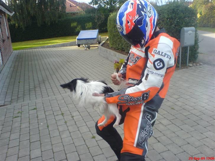 Fremvisning af ny dragt + Sjov :) billede 18