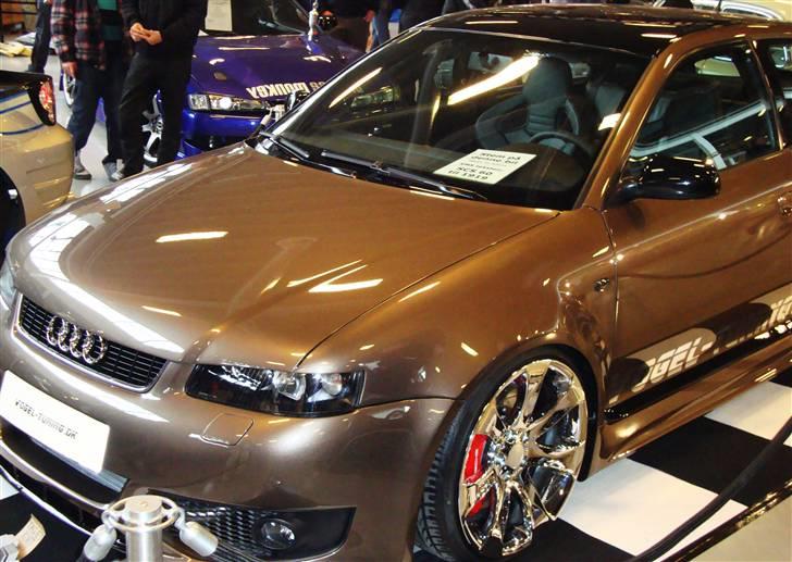 Scandinavian Custom Show Streetfire 1.Nov 351 billeder billede 132