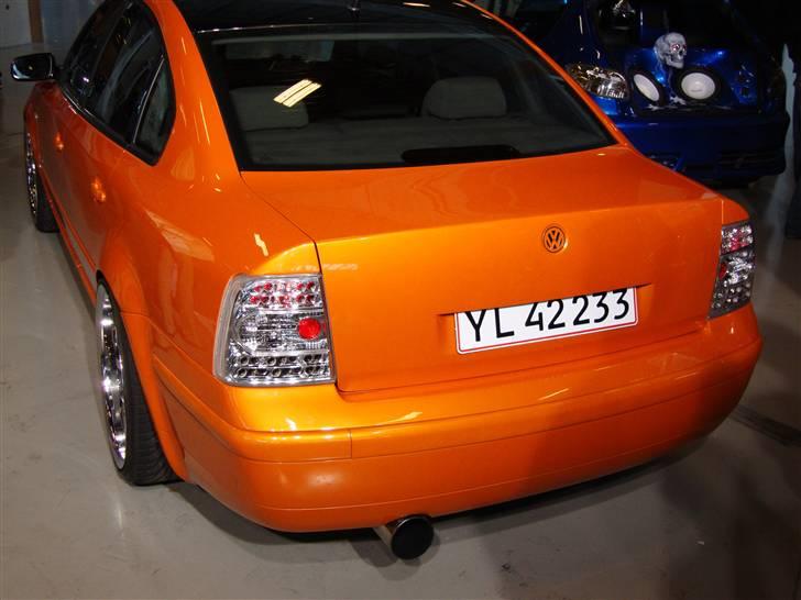 Scandinavian Custom Show Streetfire 1.Nov 351 billeder billede 186