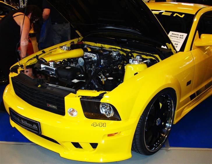 Scandinavian Custom Show Streetfire 1.Nov 351 billeder billede 219