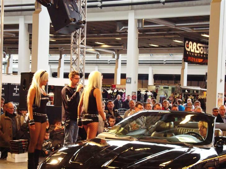 Scandinavian Custom Show Streetfire 1.Nov 351 billeder billede 310