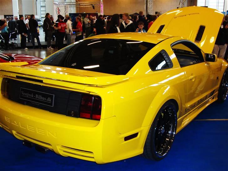 Scandinavian Custom Show Streetfire 1.Nov 351 billeder billede 315