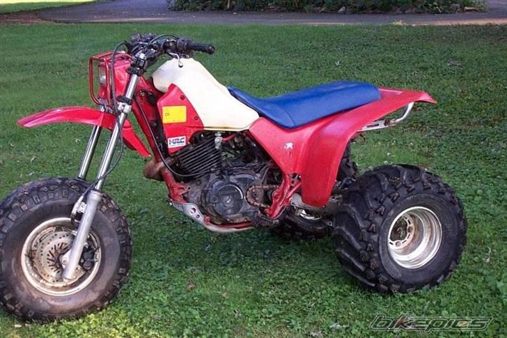 Køretøjer jeg har haft - Honda atc 200 cc
Fik den kort tid efter salget af kx'eren da jeg ville prøve noget nyt, men den blev hurtigt solgt billede 6