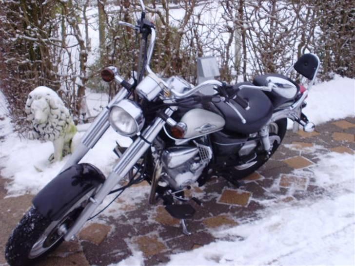 Min Jinlun 150-5 - Ny købt :) 16.01.2010 billede 4