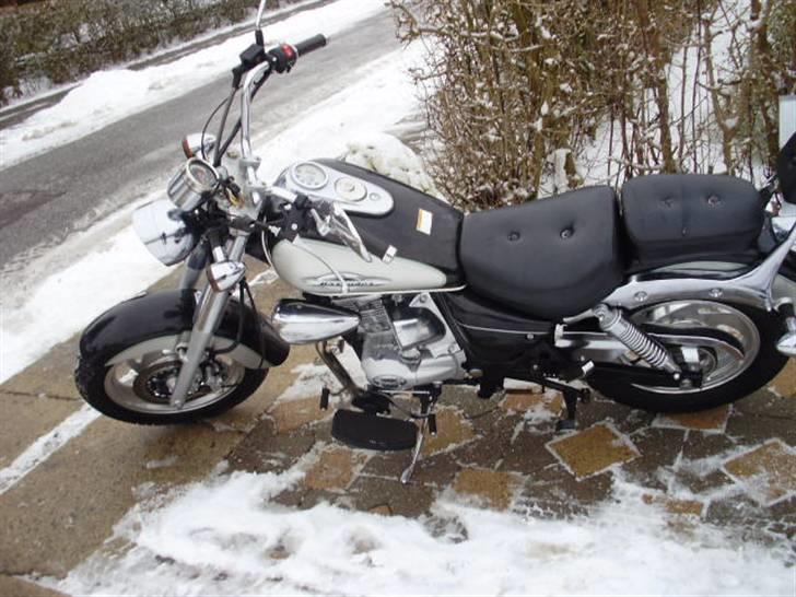 Min Jinlun 150-5 - Ny købt :) 16.01.2010 billede 12