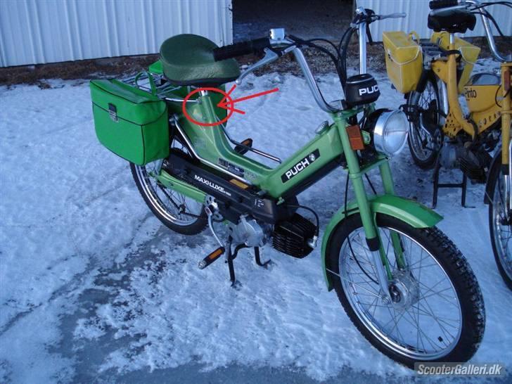 Stel Nr til på Scootere - Puch Maxi K/ P/ KL billede 1