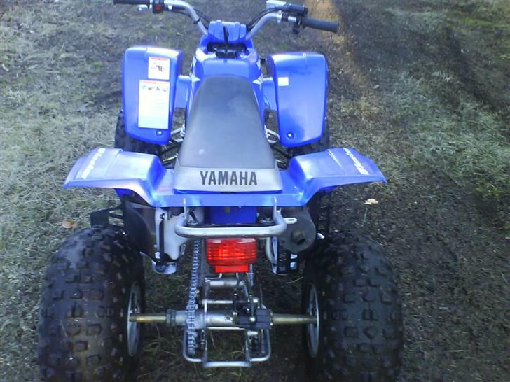 Yamaha blaster 200cc billede 12