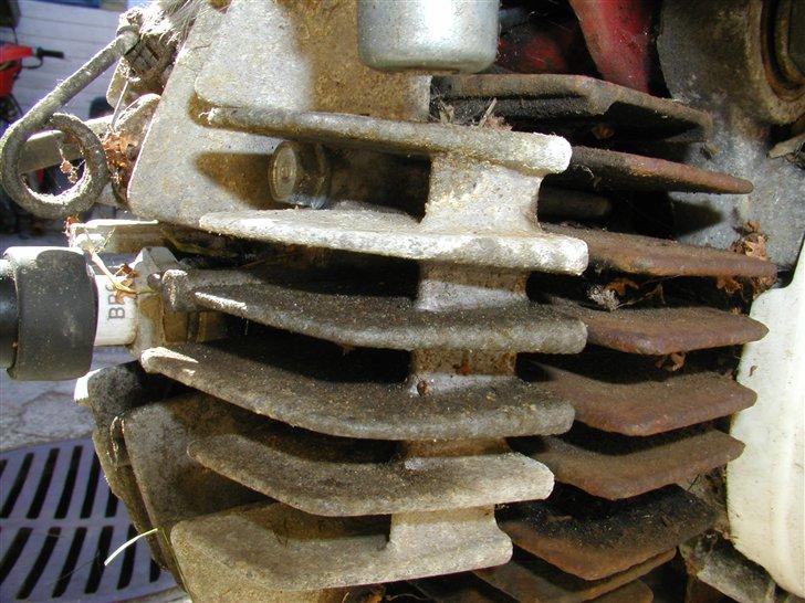 Honda Camino Projekt! - Uha! Da jeg lige havde fået den. billede 3