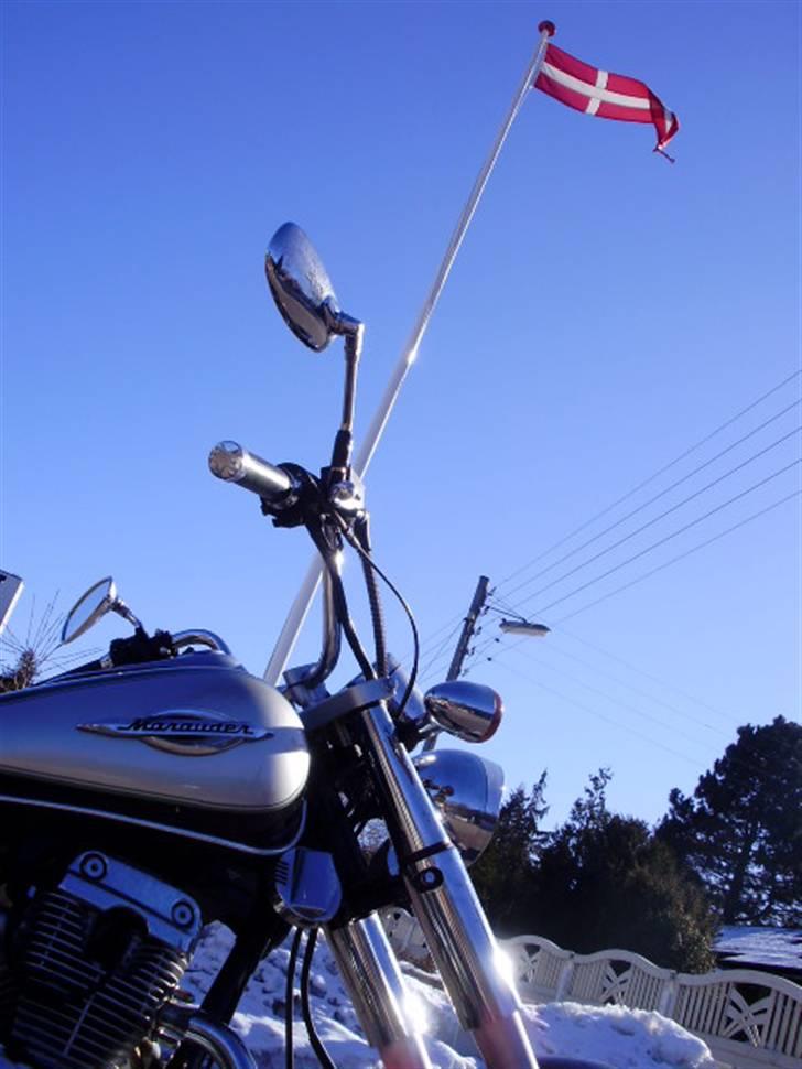 Min Jinlun 150-5 - Billeder fra d. 19.02.10 :) billede 13