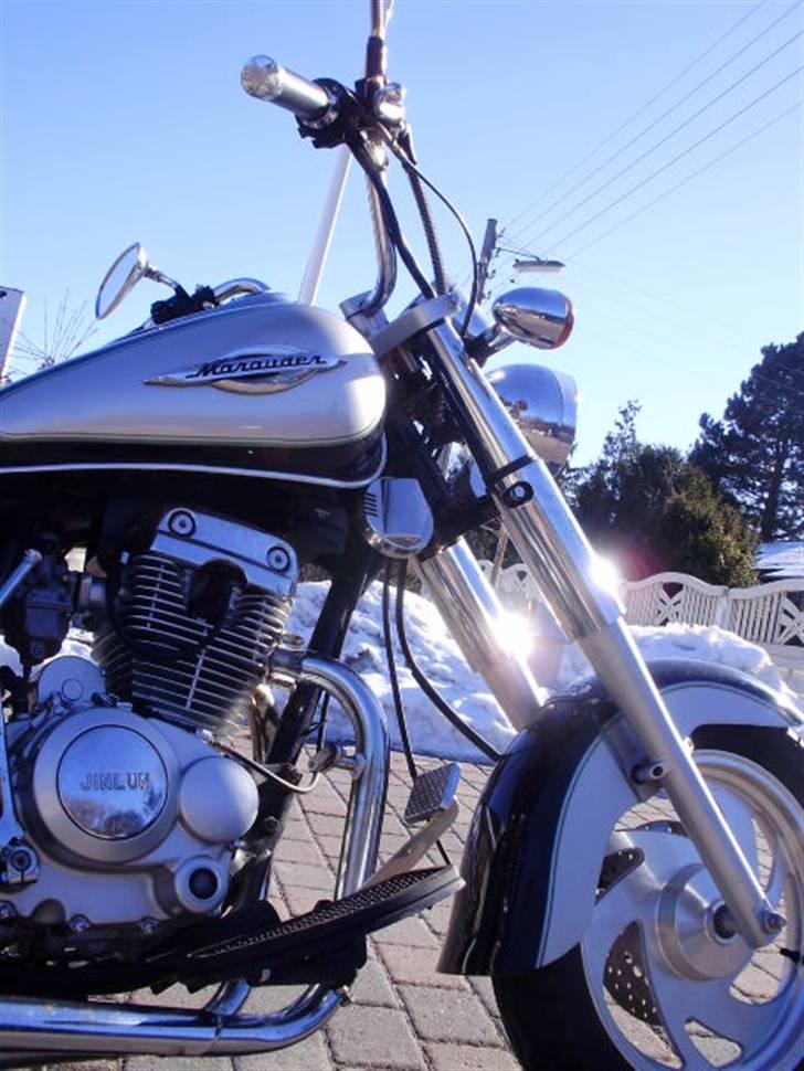 Min Jinlun 150-5 - Billeder fra d. 19.02.10 :) billede 14