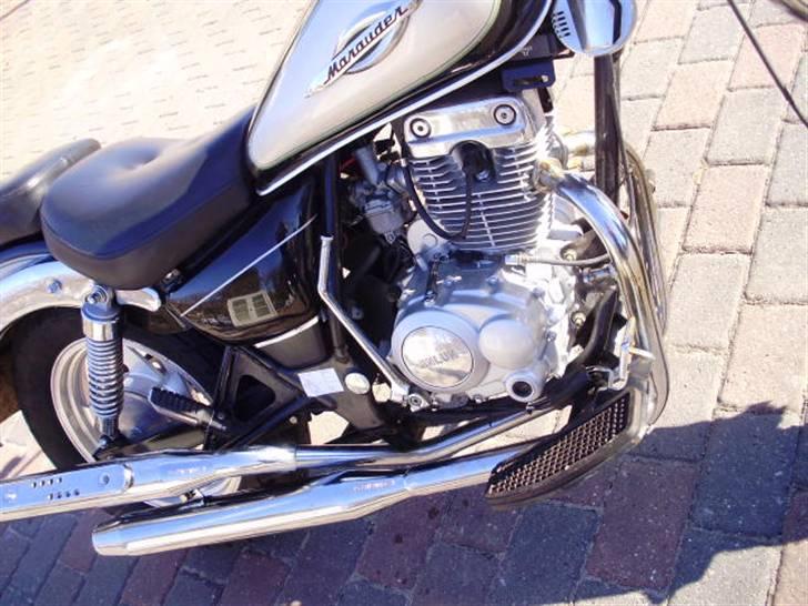 Min Jinlun 150-5 - Billeder fra d. 19.02.10 :) billede 18