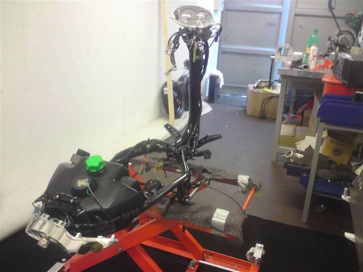 Den røde jog r billede 12