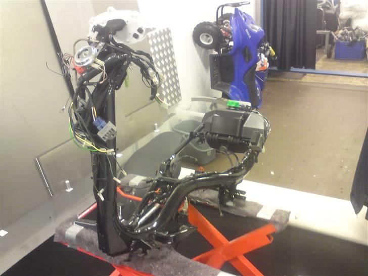 Den røde jog r billede 13