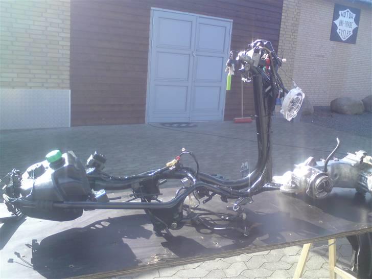 Den røde jog r billede 20