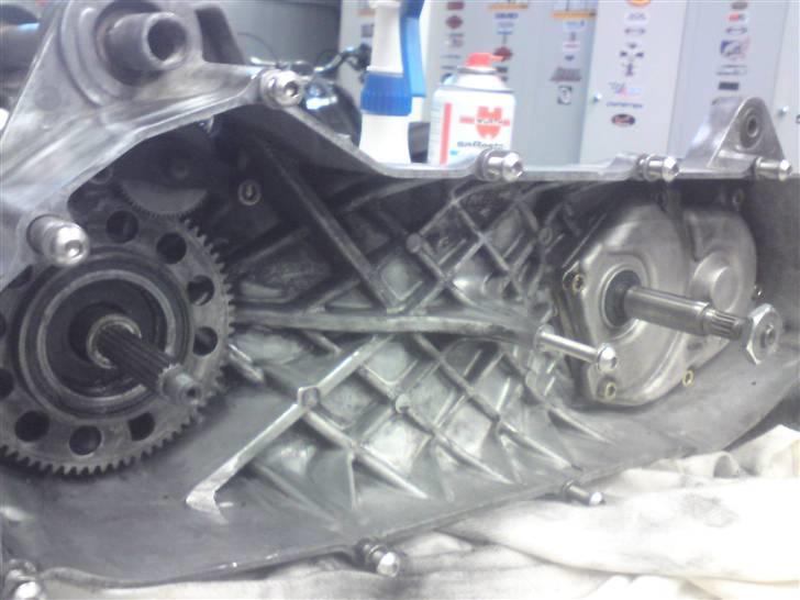 Den røde jog r billede 23