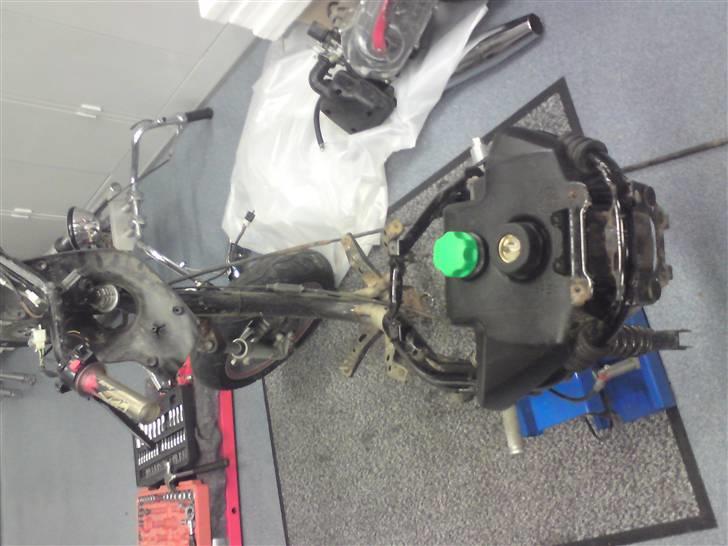 Den røde jog r billede 2