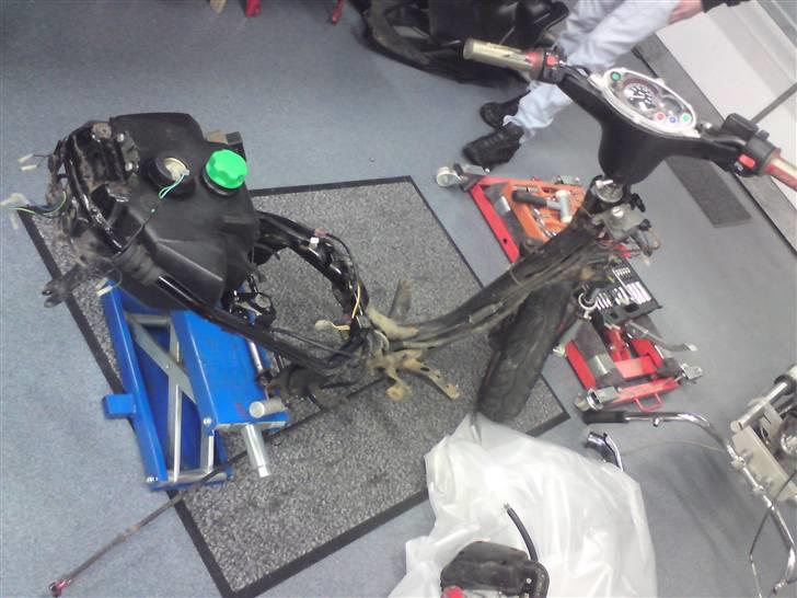 Den røde jog r billede 3