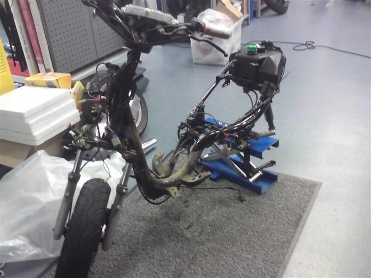 Den røde jog r billede 4