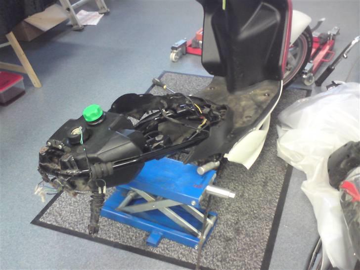 Den røde jog r billede 5