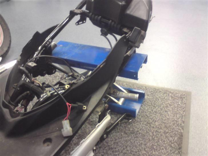 Den røde jog r billede 6