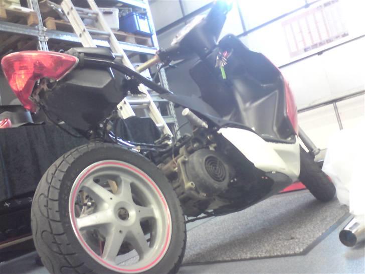 Den røde jog r billede 7