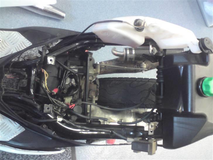 Den røde jog r billede 9