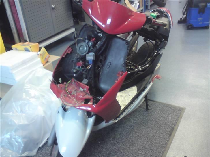 Den røde jog r billede 10