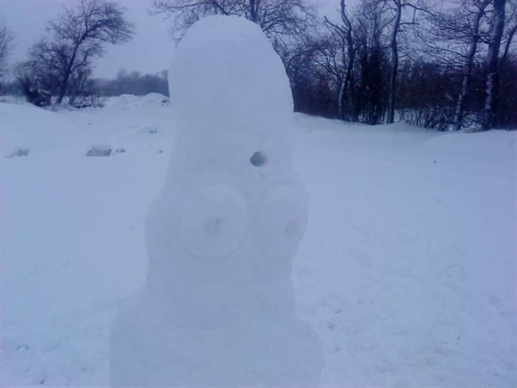 Å æ land billede 1