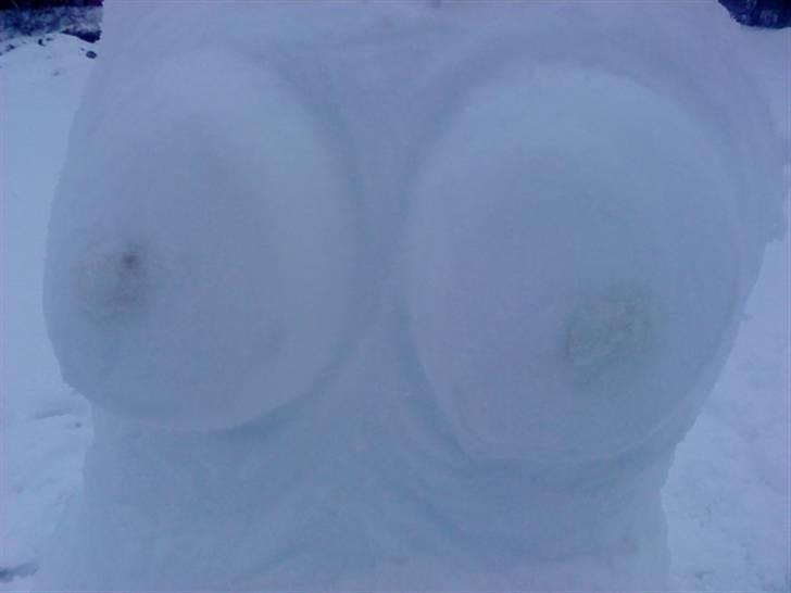 Å æ land billede 2