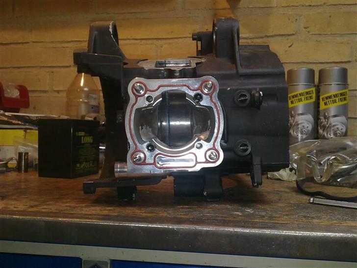 Stage6 R/T MINA motor billede 10