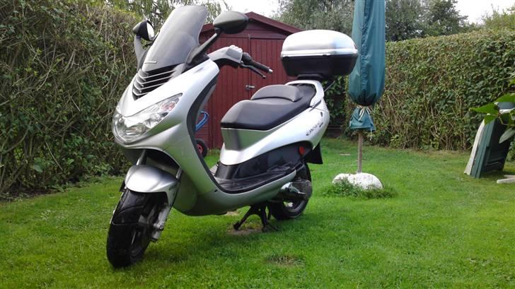 Peugeot Elystar billede 12