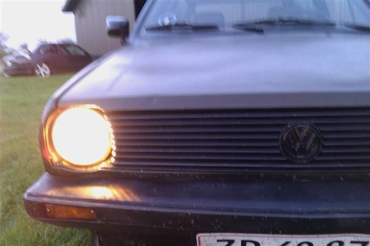 Polo hit Ratlook!!! billede 5