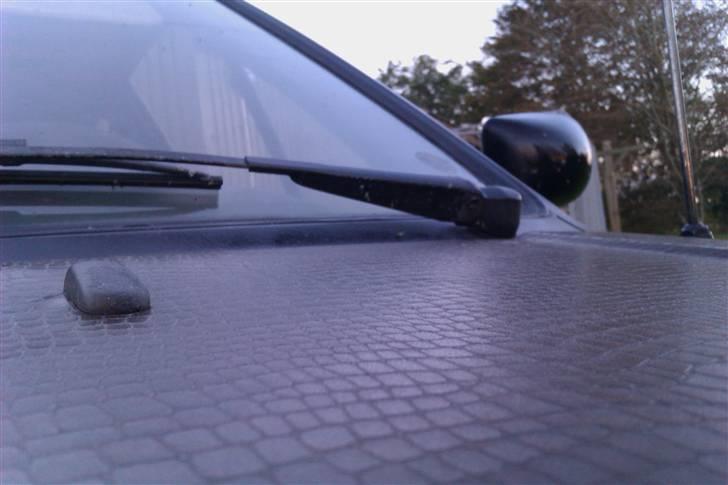 Polo hit Ratlook!!! billede 8